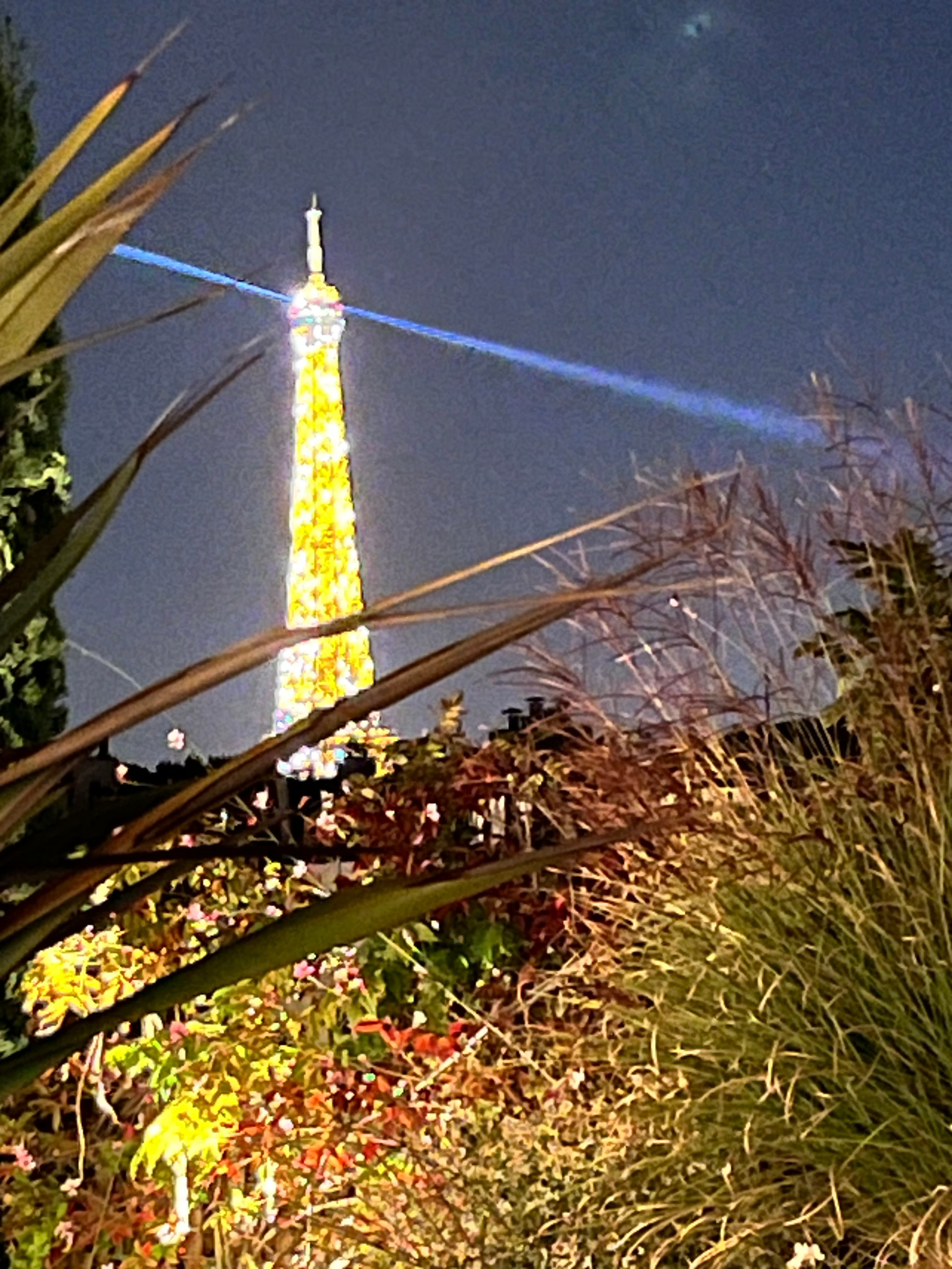 Paris and the Pleasure of Wandering