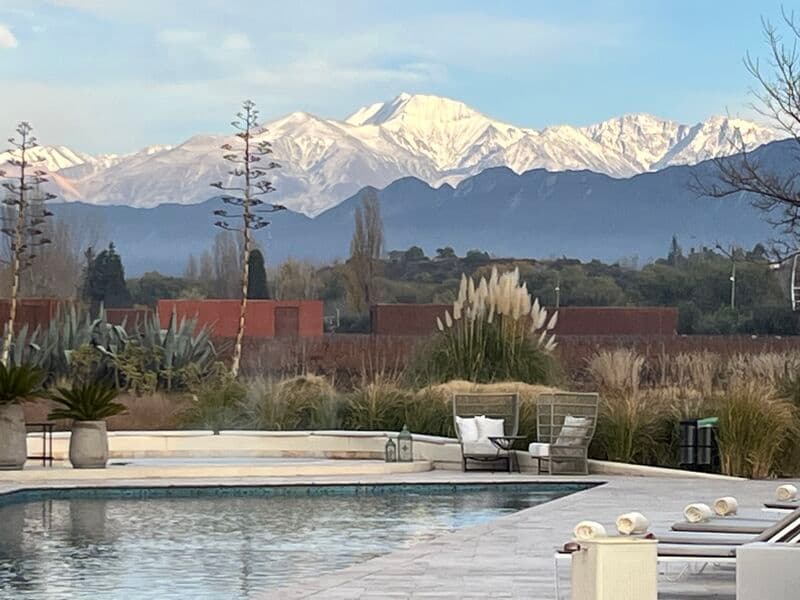 Logistics & Luxury: Crossing the Andes into Mendoza